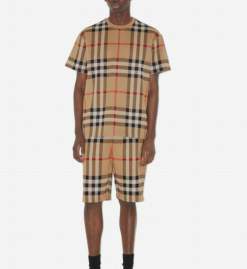 Picture of Burberry T Shirts Short _SKUBurberryM-3XL26on4720367